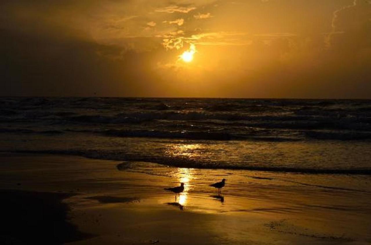 Affordable Family Condo -Walking Distance To Beach By Mustang Island, Sleeps Four, 2025 Traveler Award Corpus Christi Luaran gambar